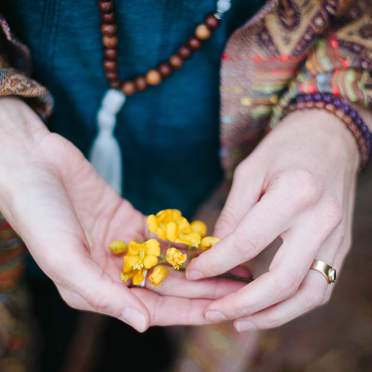 flower buds in hands